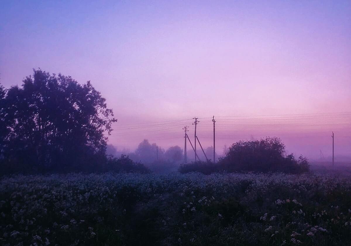 时隔两年 曼联有望重回欧冠